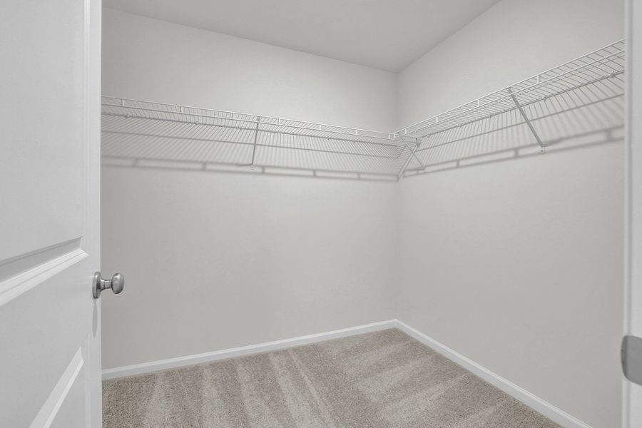 Spacious, unfurnished interior of a new home in River Tide Farms, Bolivia (Image 17).