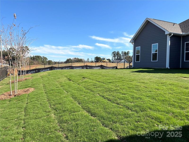 Natural landscape and outdoor views near Brighton Park in Mount Pleasant (Image 15).