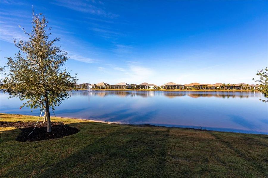 Natural landscape and outdoor views near in Bradenton (Image 71). Natural landscape and outdoor views near in Bradenton (Image 71).