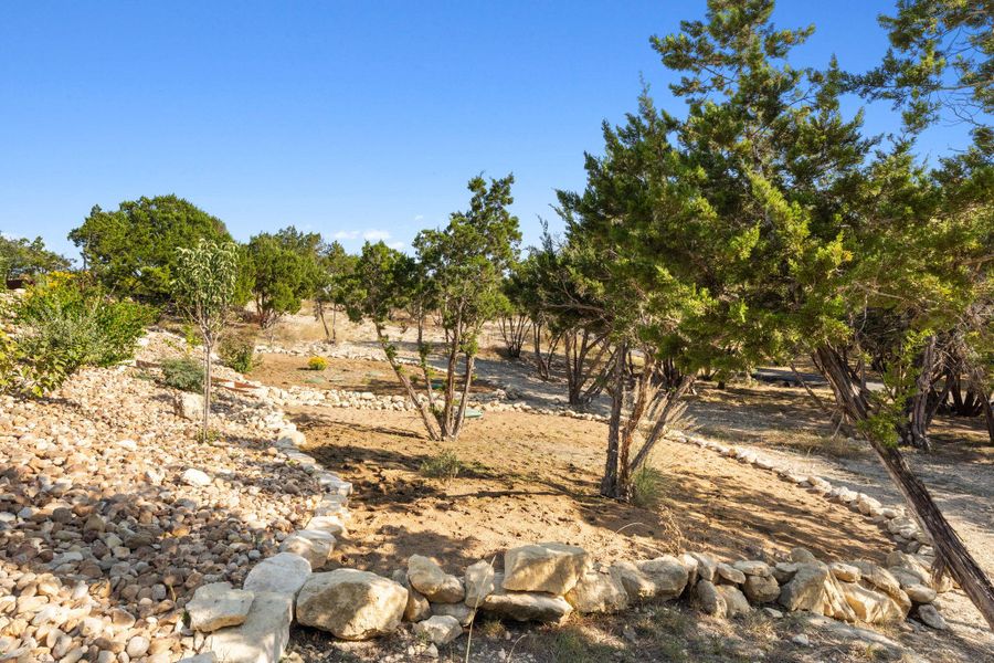 Expansive natural landscape featuring native trees, established low-lying vegetation, and a clear blue sky