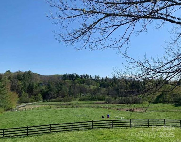 Wonderful pasture land that your horses will enjoy.