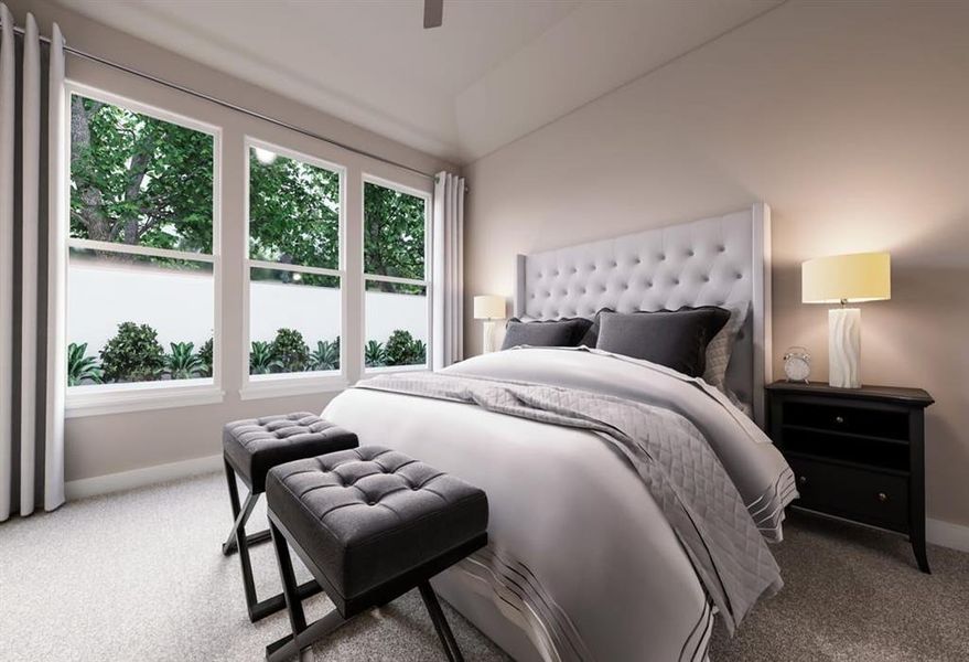 Discovery Collection at Bridgewater