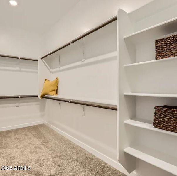 Owners Walk in Closet