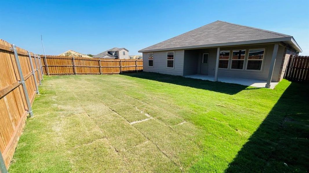 Rear Elevation Rear Elevation