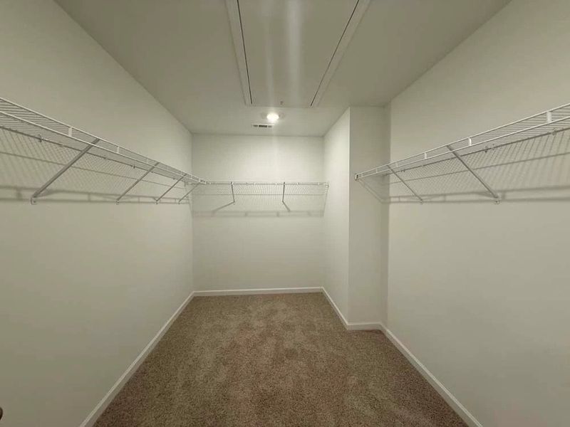 Sample Photo: Primary Bedroom Walk-In Closet