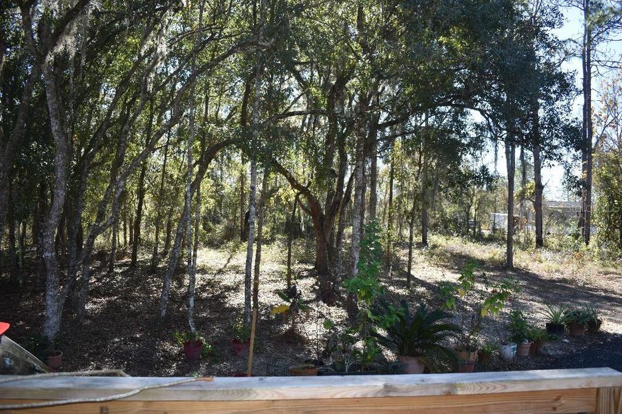 Natural landscape and outdoor views near  in Williston (Image 50).