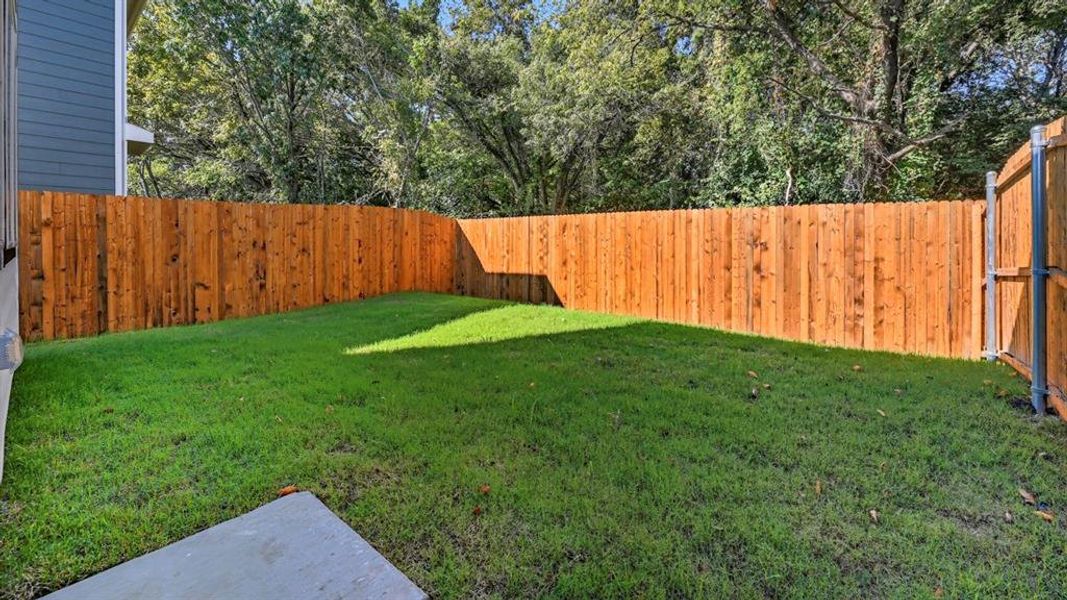 View of fenced backyard