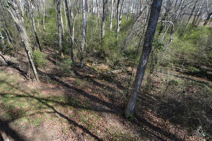 Natural landscape and outdoor views near  in Winder (Image 60).