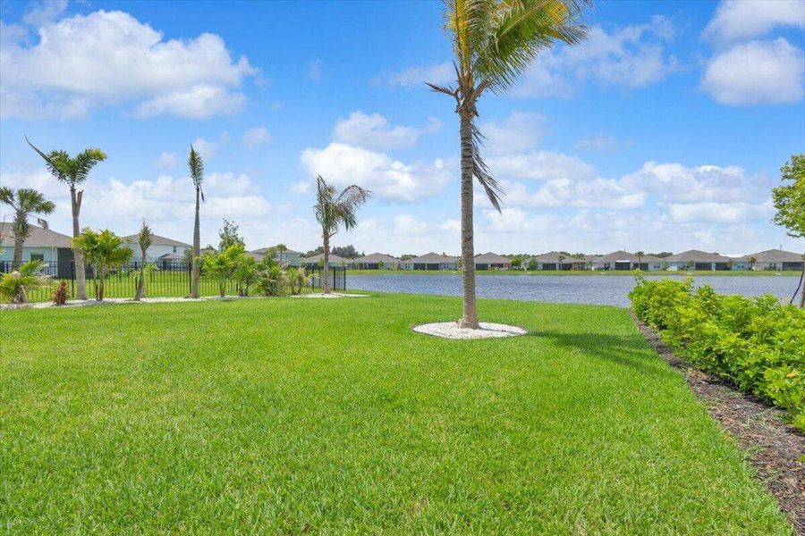 Backyard Backyard