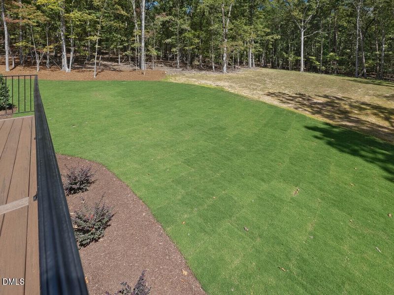 037-316FireflyOverlook-Wagoner-Parade-20