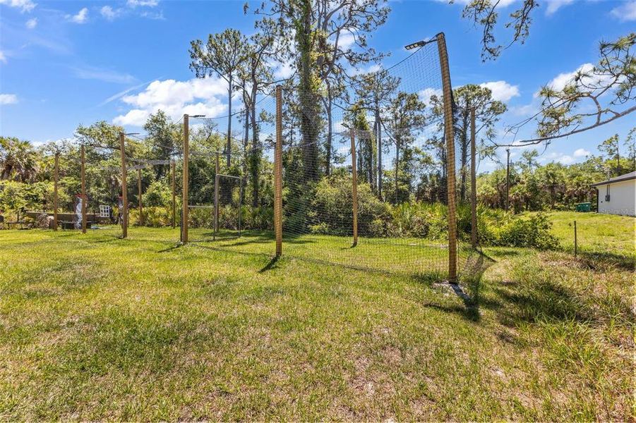 Natural landscape and outdoor views near  in Port Charlotte (Image 21).