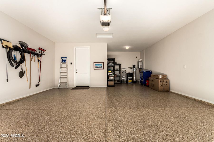 31-Cactus Wren 31-Cactus Wren