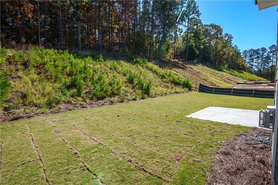 Natural landscape and outdoor views near Creekside Landing in Dallas (Image 37).