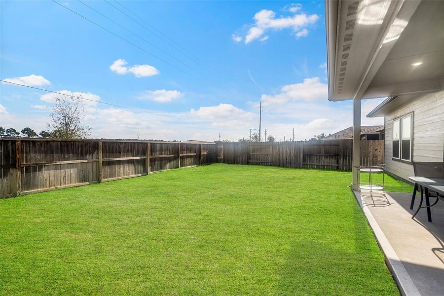 Another view of the backyard.