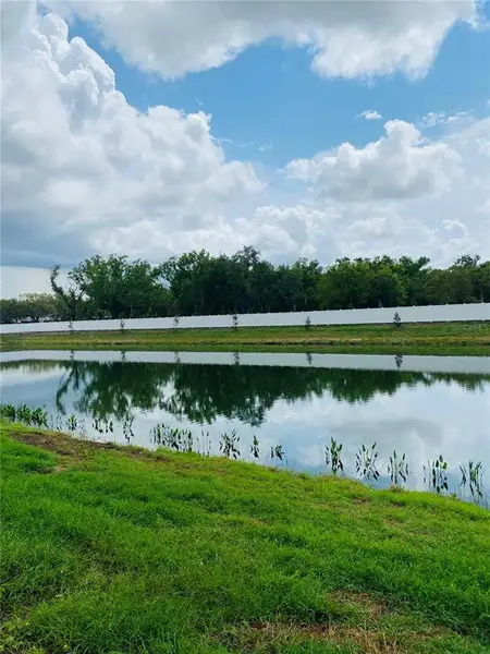 Natural landscape and outdoor views near Lakeview Crossing – Classic Series in Sarasota (Image 9).