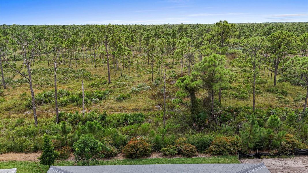 Natural landscape and outdoor views near Cove Royale in Stuart (Image 38). Natural landscape and outdoor views near Cove Royale in Stuart (Image 38).