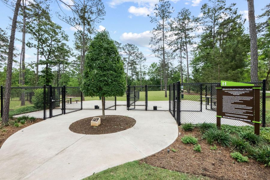 Two dog parks so large and small dogs have their own space to play.