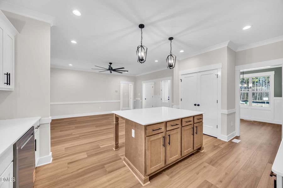 12-web-or-mls-9L1A3259