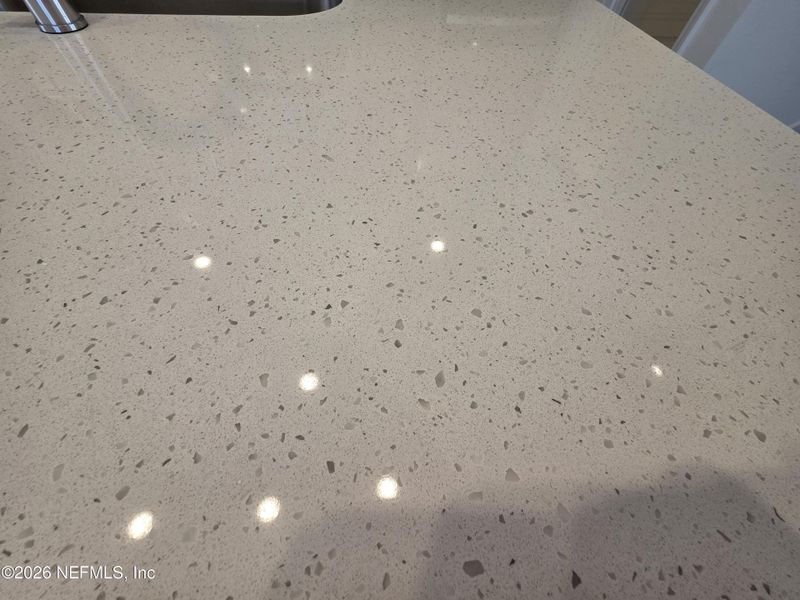 Close-up of interior finishes inside a home in Hyland Trail, Green Cove Springs (Image 18).