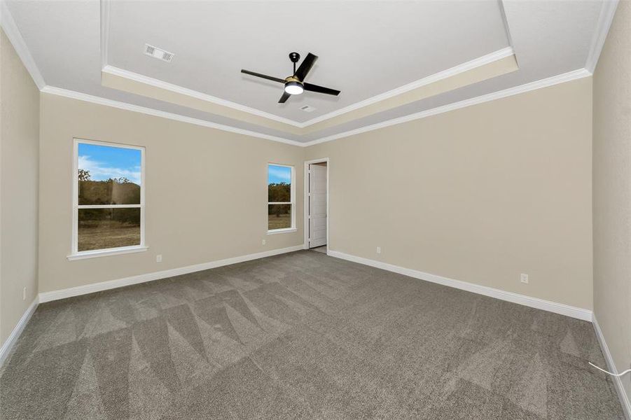 Spare room featuring a raised ceiling, crown molding, carpet floors, and ceiling fan