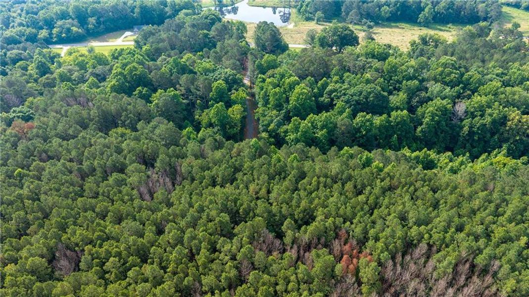 Natural landscape and outdoor views near  in Talking Rock (Image 8).