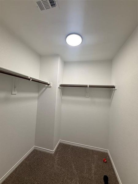 Walk-in closet featuring plush carpet, white painted walls, ceiling-mounted lighting, and dual clothing rods with shelving