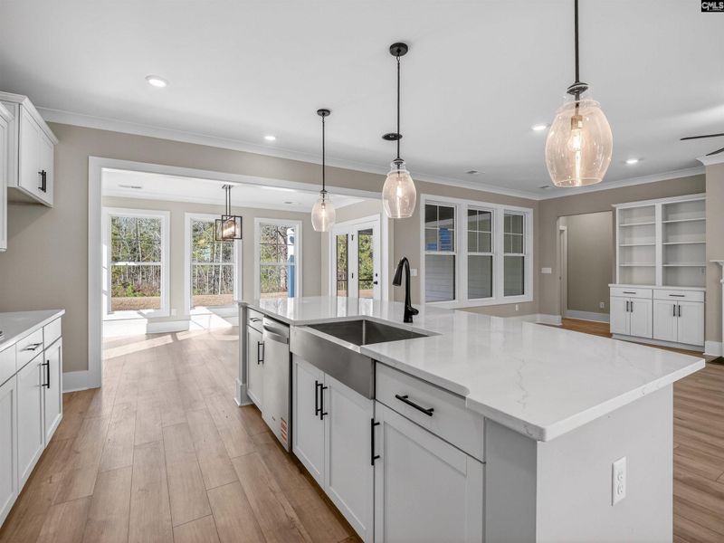 Furnished interior view inside a new home in Collins Cove, Chapin (Image 6).