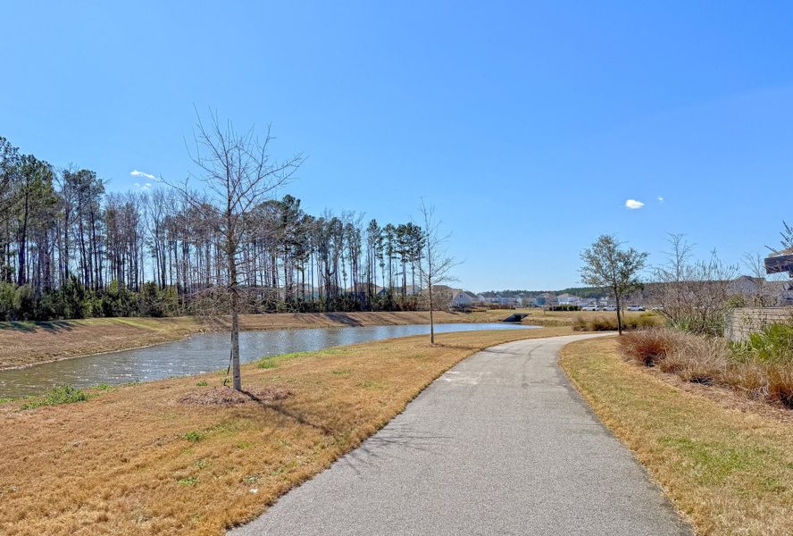 Natural landscape and outdoor views near Midtown at Nexton in Summerville (Image 59).