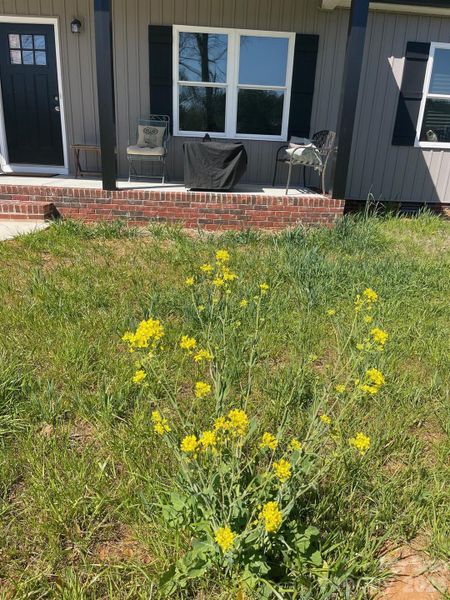 Exterior details and patio area of a home in , Lawndale (Image 17). Exterior details and patio area of a home in , Lawndale (Image 17).