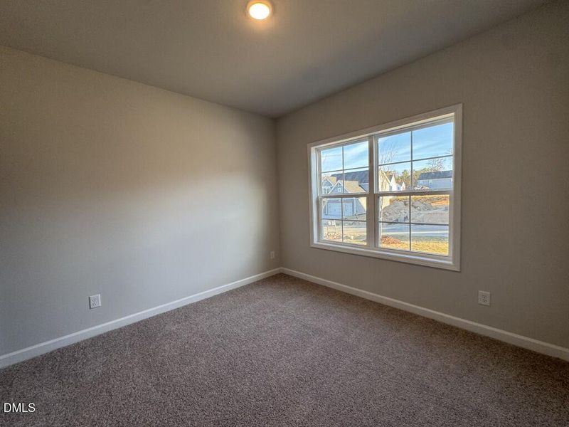 Photo Nov 16 2025, 3 46 19 PM (Medium)