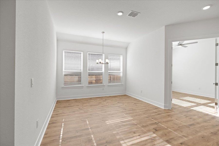 REPRESENTATIVE PHOTO