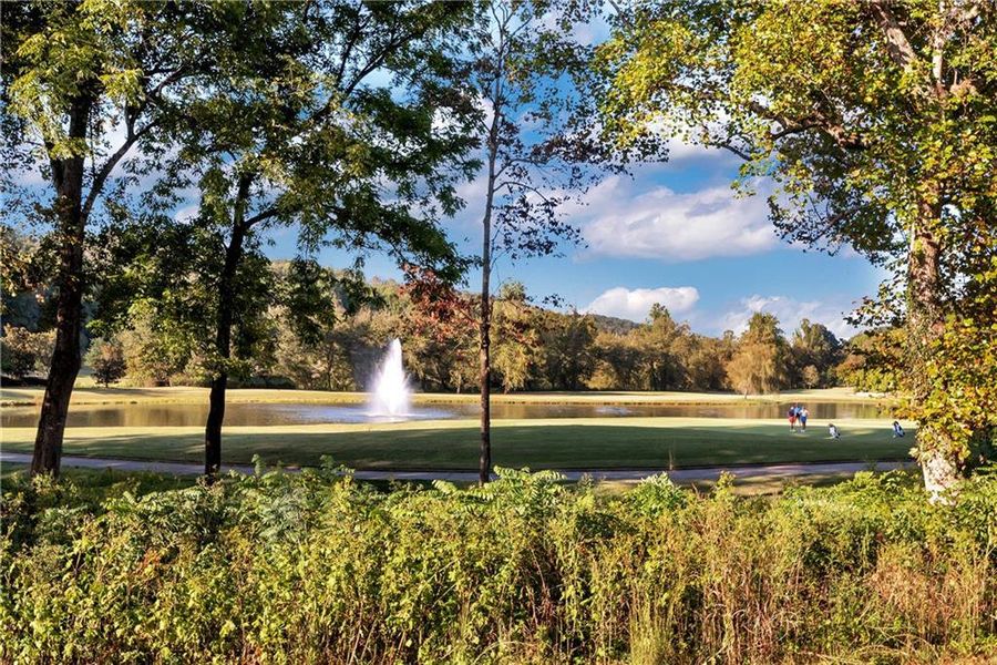 Natural landscape and outdoor views near  in Dahlonega (Image 39).