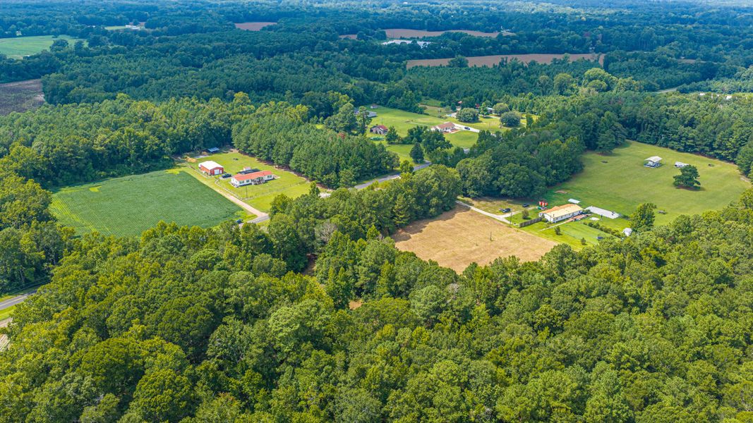 Natural landscape and outdoor views near  in Holly Hill (Image 55).