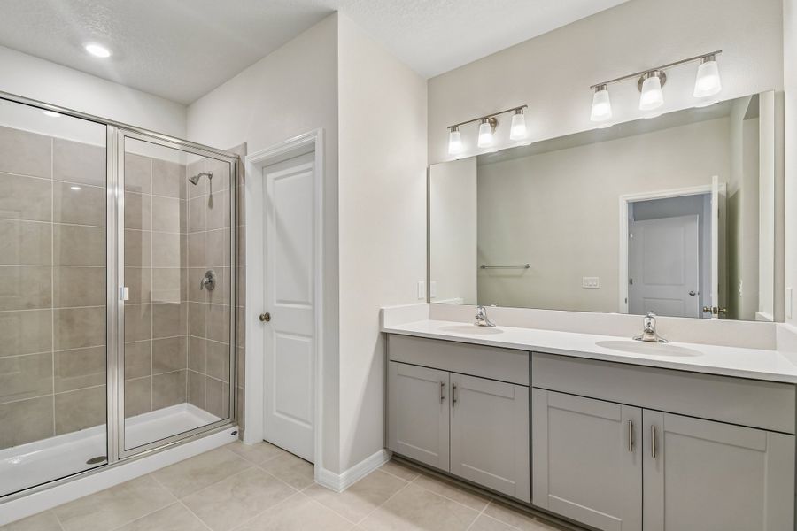 Owner's Bath