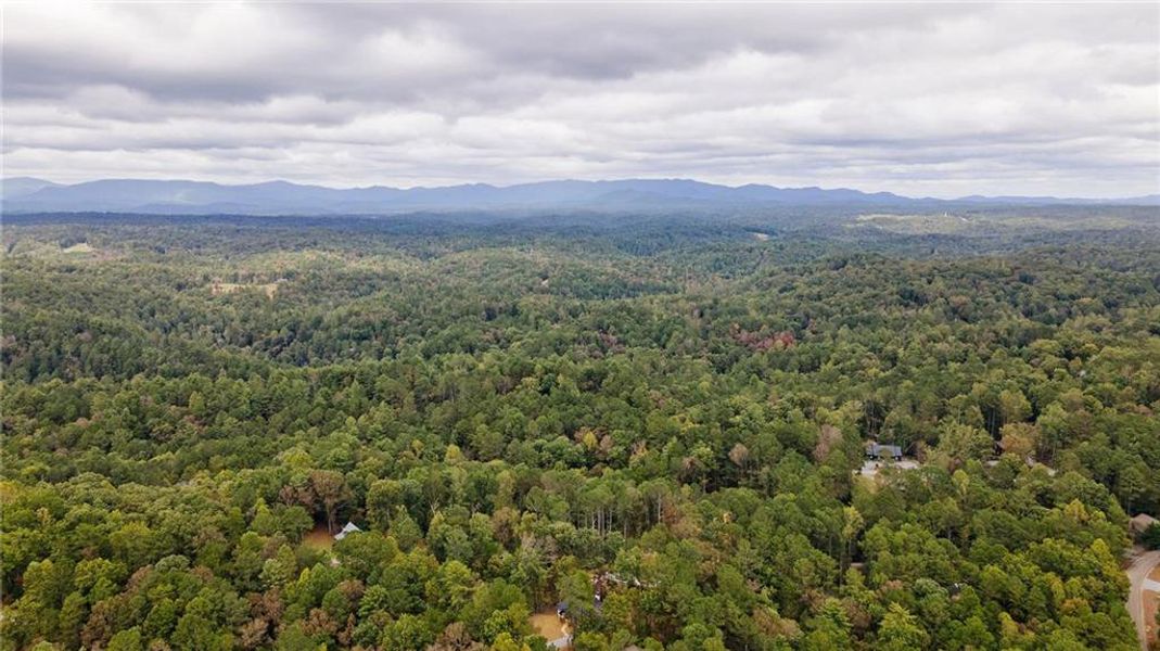 Natural landscape and outdoor views near  in Ellijay (Image 51).