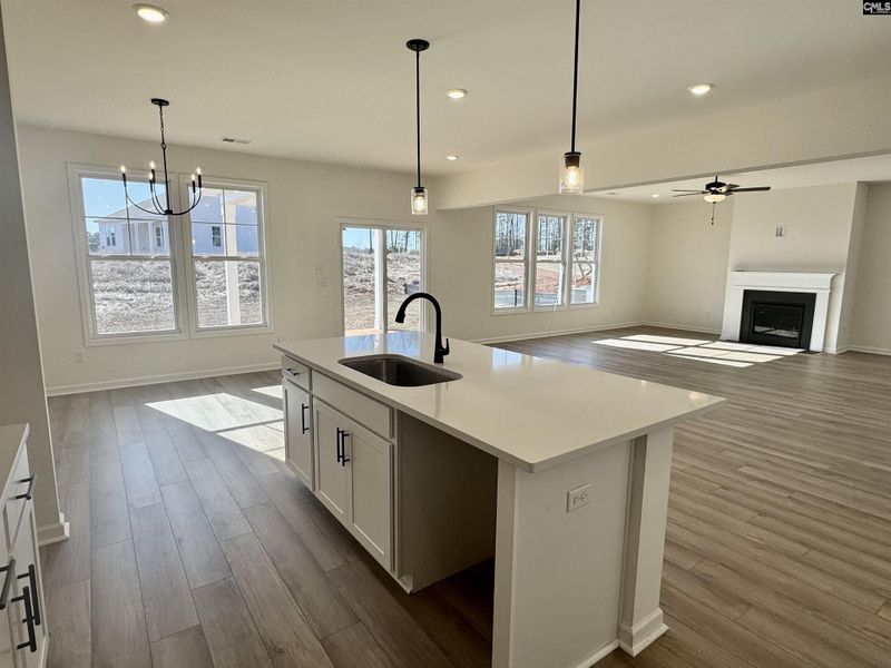 Furnished interior view inside a new home in Boykin Hills, Chapin (Image 2).