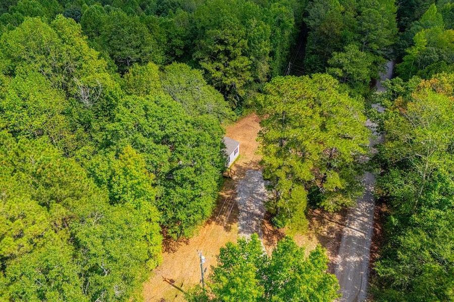 Natural landscape and outdoor views near  in Carrollton (Image 57).