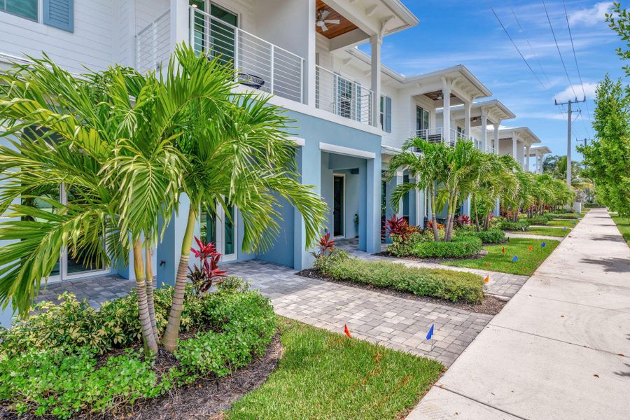 3-web-or-mls-_MLP0333