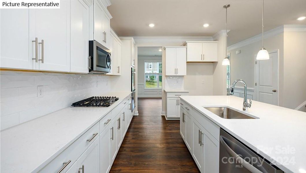 Kitchen galley area - Sample picture