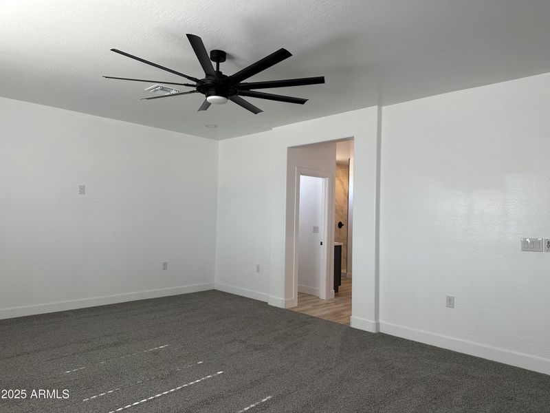 Master Bedroom going into Bathroom