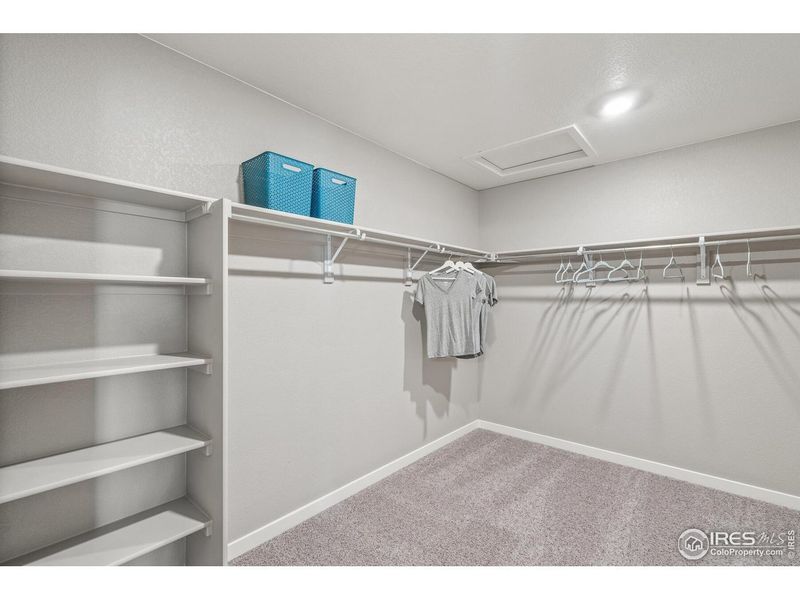 Spacious, unfurnished interior of a new home in Fossil Creek Ranch, Windsor (Image 19).