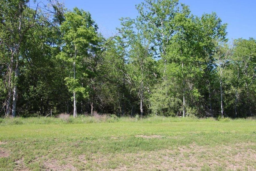 Lush wooded lot offering serene privacy and natural beauty.