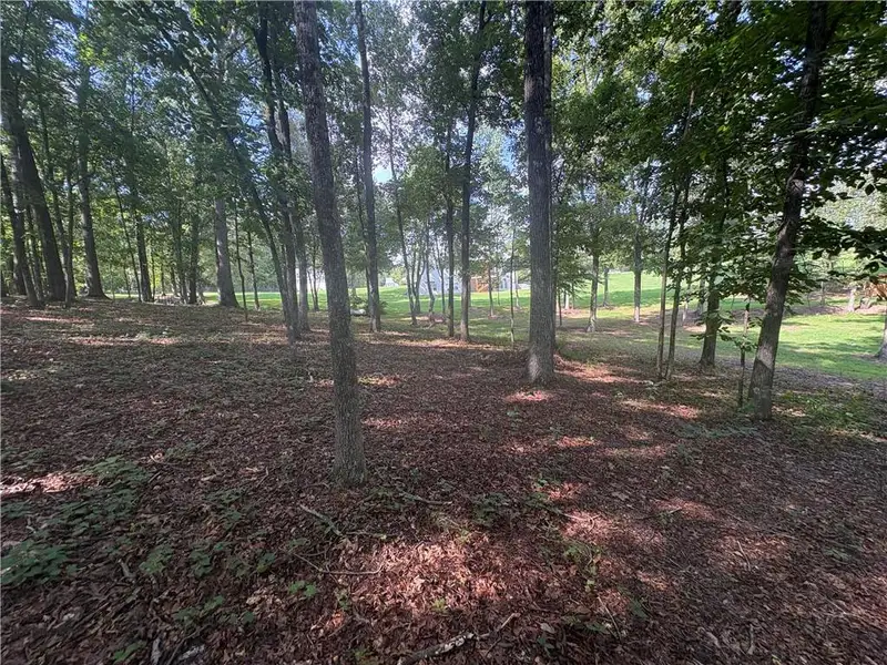 Natural landscape and outdoor views near  in Dawsonville (Image 60).