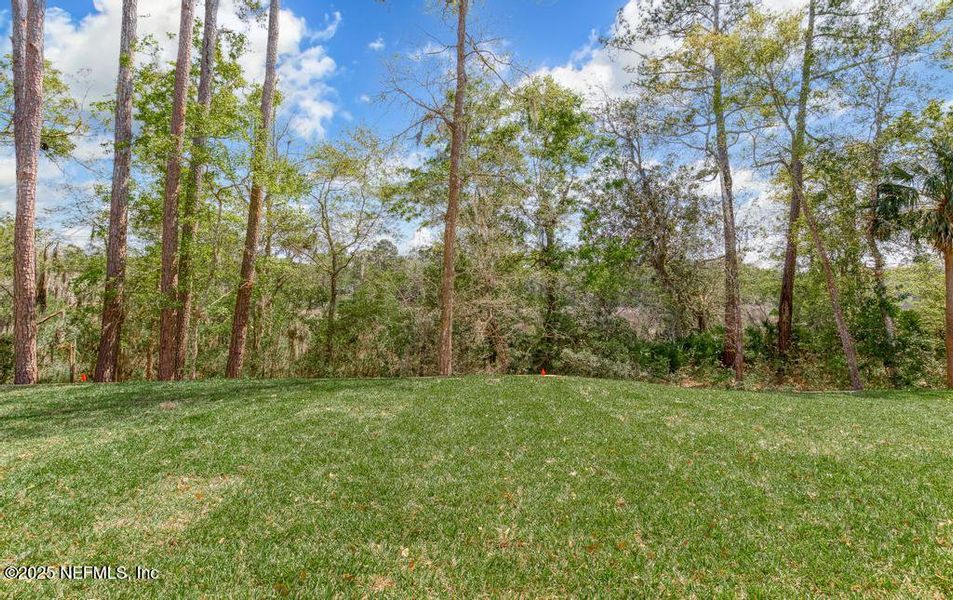 Natural landscape and outdoor views near in Yulee (Image 62). Natural landscape and outdoor views near in Yulee (Image 62).