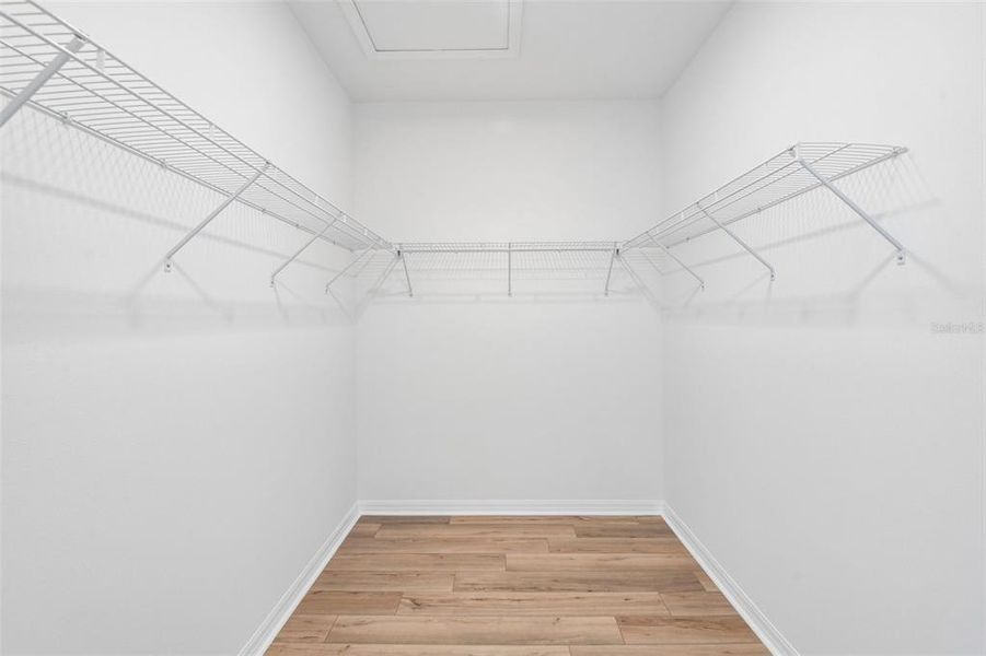 Spacious, unfurnished interior of a new home in , San Antonio (Image 27).