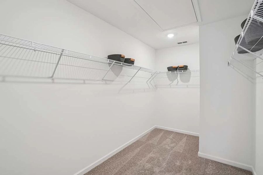 Sample Photo: Primary Bedroom Walk-In Closet