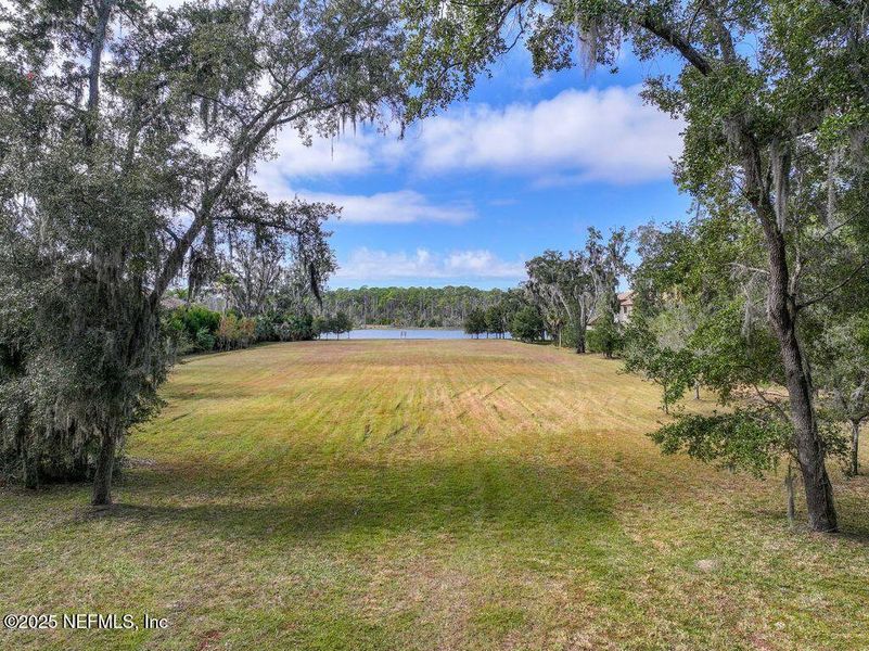 Natural landscape and outdoor views near  in Ponte Vedra Beach (Image 13).