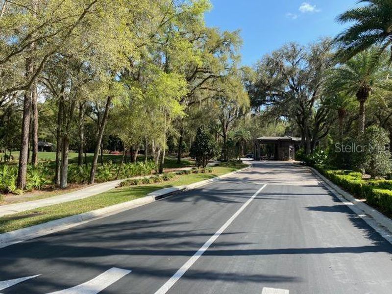 Natural landscape and outdoor views near Juliette Falls in Dunnellon (Image 15). Natural landscape and outdoor views near Juliette Falls in Dunnellon (Image 15).