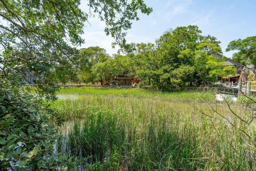 Natural landscape and outdoor views near  in Folly Beach (Image 27).