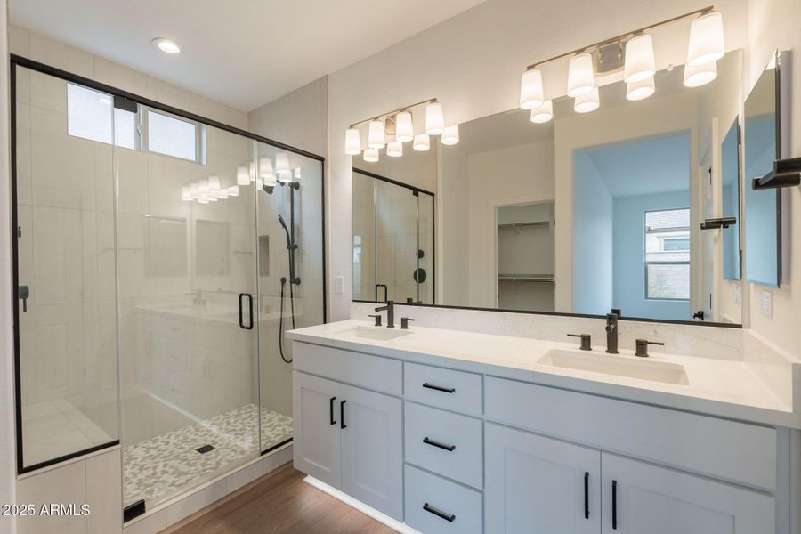 29-web-or-mls-Bittercress-29 29-web-or-mls-Bittercress-29